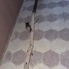 هدرز ددسن