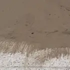 غبار سطح للبيع