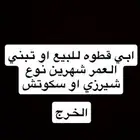 قطه