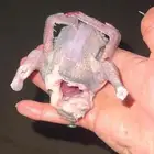 زغليل فرنسي كريمي سلفر سوبر جانبو