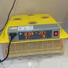 فقاسه تماتيك