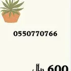 ارقام مميزة