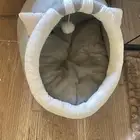 بيت بسة
