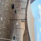 4شبوك ومضلة للبيع