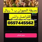 حديقة الحيوان جميع الايام