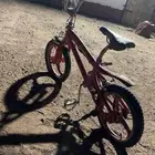 سيكل كوبره