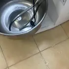 عجانه للبيع