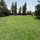 استراحة للاجار