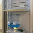 أقفاص طيور
