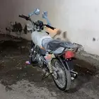 دباب