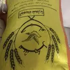 اكل حمام مشكل طيور الشارع