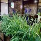 احتاج سكن قريب من حي الشاطئ بالدمام