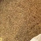 هيبان معه خلط قمح خفيف مكيس جاهز