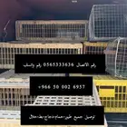 توصيل حلال-حمام-دجاج-طيور
