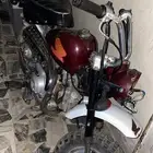 دباب سويدي للبيع