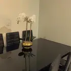 اثاث