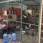 شبك 3x3 للبيع   حمام كنق منتج