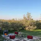 ثلاث مدات