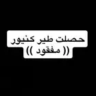 اللي ضائع له طير كنيور مفقود يتواصل معايا