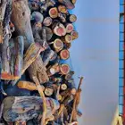 حطب مستورد من شرق اليابان