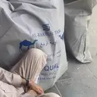 خيام وراويات