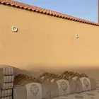 مساند مشب للبيع