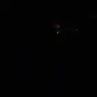 سلام عليكم اقبل جميع الحيونات