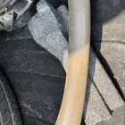 مسكة طبلون جمس