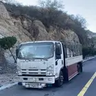 دينا 6 متر لنقل المواشي والا اخره لجميع مناطق المملكه