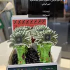 توزيعات اليوم الوطني بصامطه ب50 ريال فقط