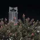 جميع أنواع قطع السيارات تشليح