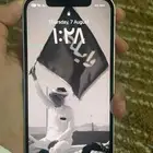 ايفون 12 عادي تيفاني