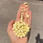 مسباح دومنة كريمي