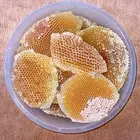 عسل سدر صافي ومضمون هالموسم