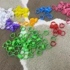 حجول دجاج وبط حجم كبير