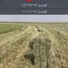 علف  للغنم والبقر والإبل
