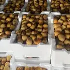 روثانة فاخر حبه كبيره