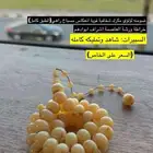 مسباح من دومنه