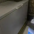 للبيع ينسم فريون