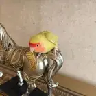 روز اليف جدا ومتكلم