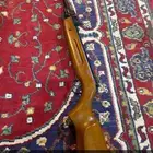 جفتون ناتوش نضيفه على الشرط   الخرج