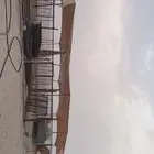 شبوك غنم مستعمله