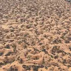 معزا حصيب قريب ولاده جروم كفو