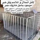 ميزان اغنام اكتروني مع الشبك وينفع لتمر يازن 300 كيلو