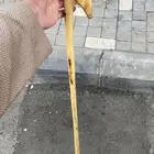 مشعاب جنوبي ممتاز