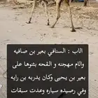 للبيع القحه هجن