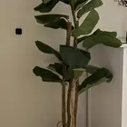 شجرة صناعية من هوم سنتر