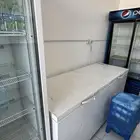 تمو ينات للبيع