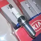 بواجي اوبتيما اصلي وكالة
