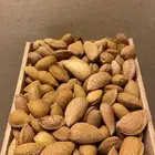 لوز بلدي ميسان